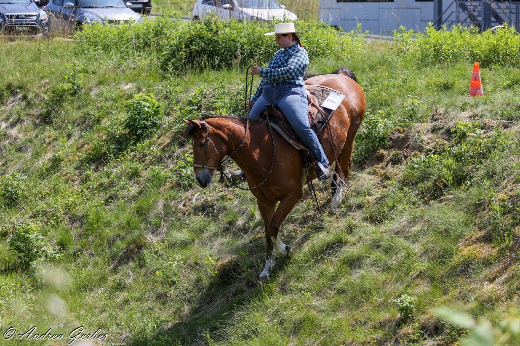 Swiss Ranch Horse Association - SRHA