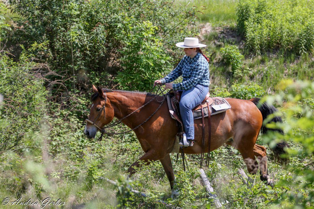 Swiss Ranch Horse Association - SRHA