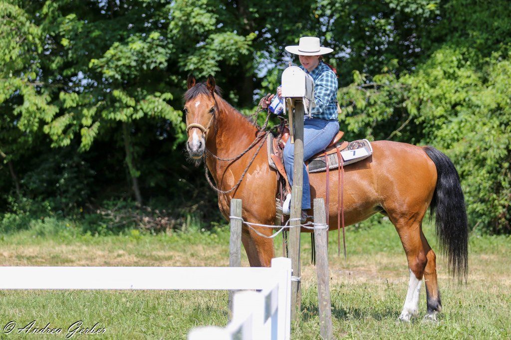 Swiss Ranch Horse Association - SRHA