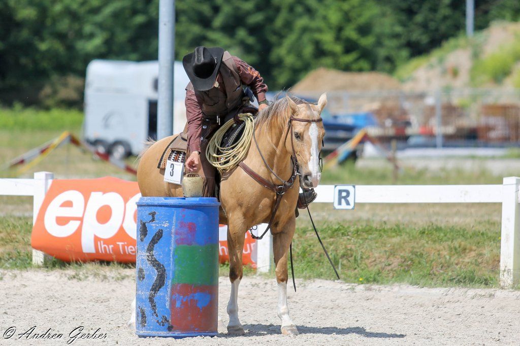 Swiss Ranch Horse Association - SRHA