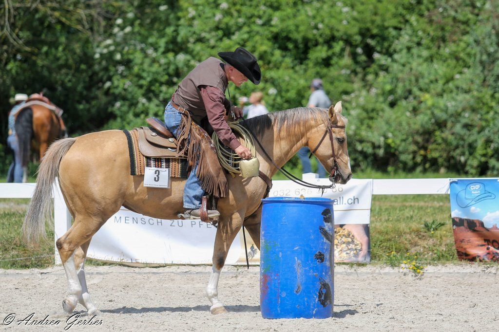 Swiss Ranch Horse Association - SRHA