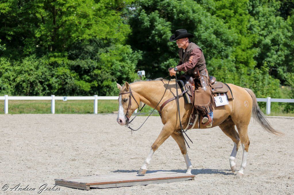 Swiss Ranch Horse Association - SRHA