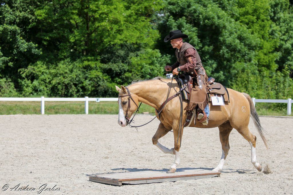 Swiss Ranch Horse Association - SRHA