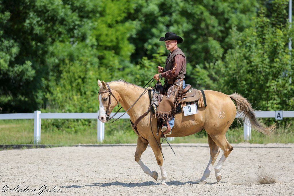 Swiss Ranch Horse Association - SRHA