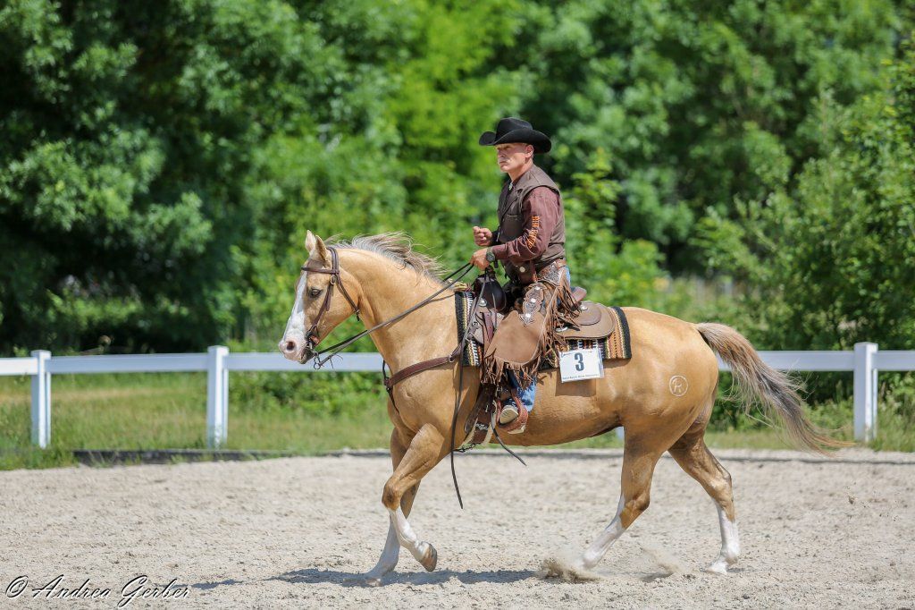 Swiss Ranch Horse Association - SRHA