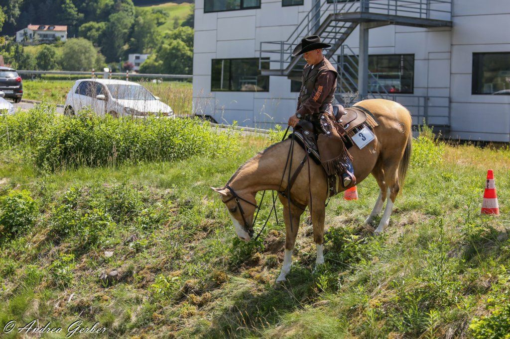 Swiss Ranch Horse Association - SRHA
