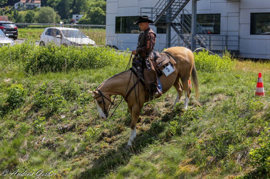 Swiss Ranch Horse Association - SRHA