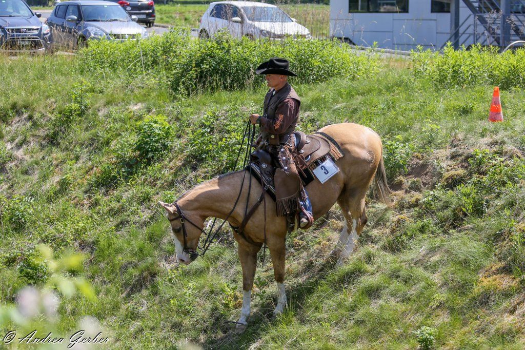 Swiss Ranch Horse Association - SRHA