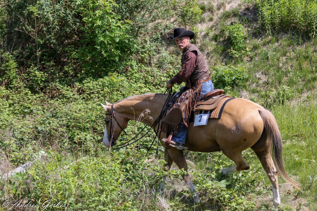 Swiss Ranch Horse Association - SRHA
