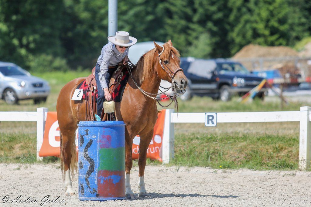 Swiss Ranch Horse Association - SRHA