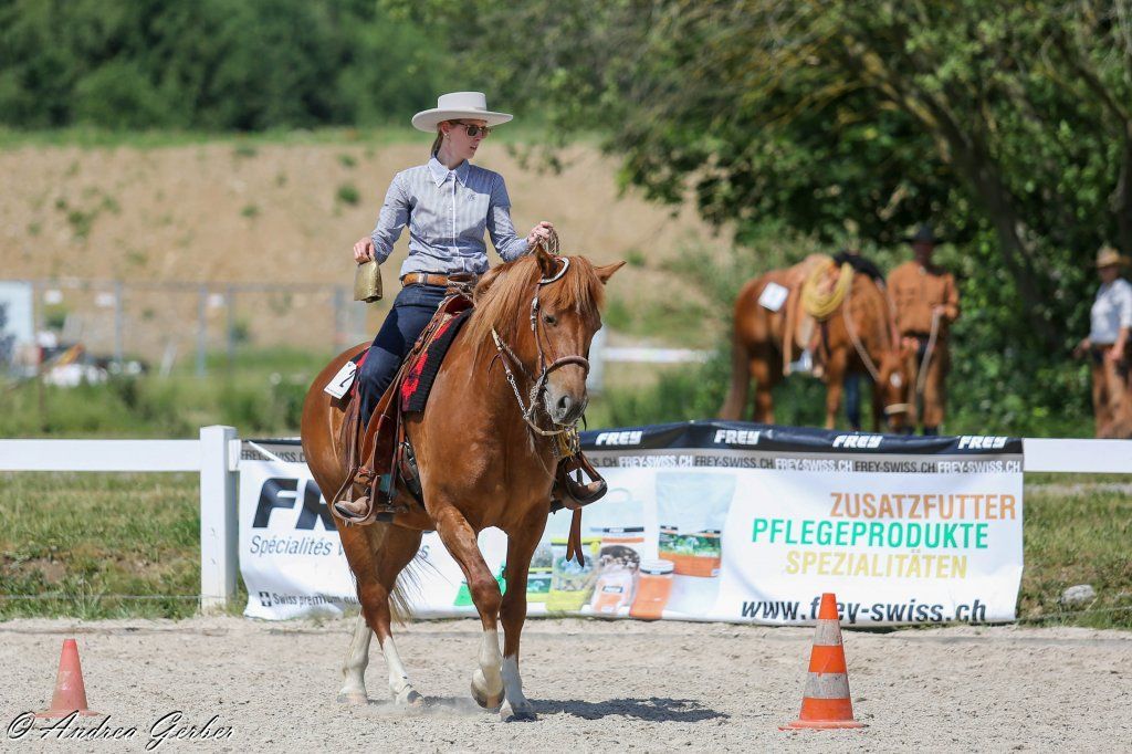 Swiss Ranch Horse Association - SRHA