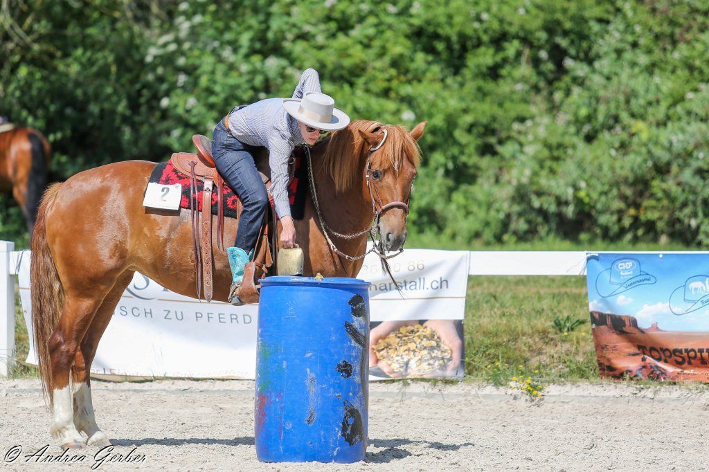 Swiss Ranch Horse Association - SRHA