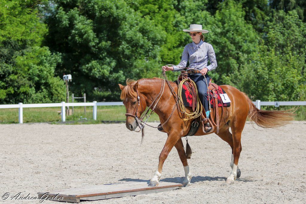 Swiss Ranch Horse Association - SRHA