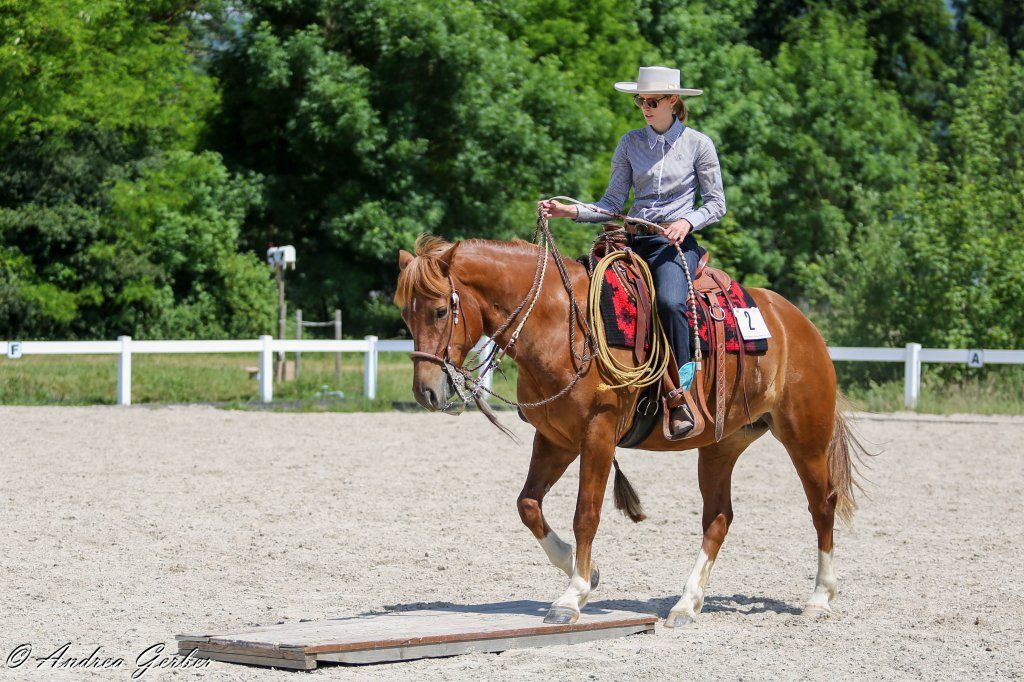 Swiss Ranch Horse Association - SRHA