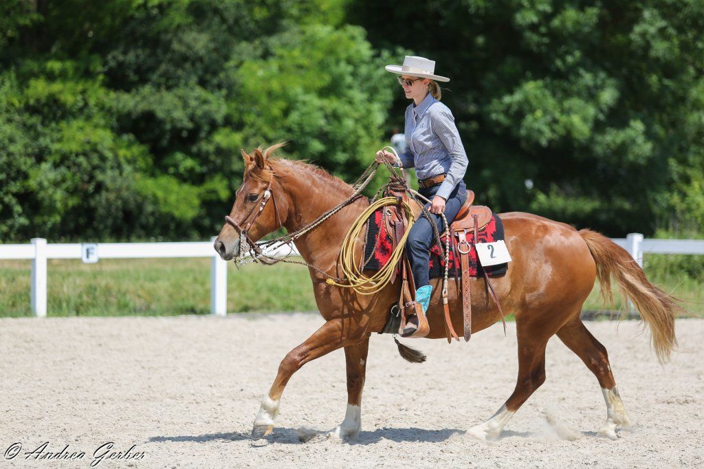 Swiss Ranch Horse Association - SRHA