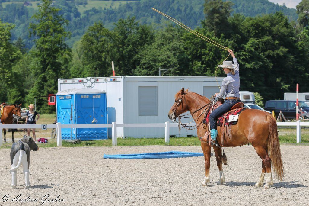 Swiss Ranch Horse Association - SRHA