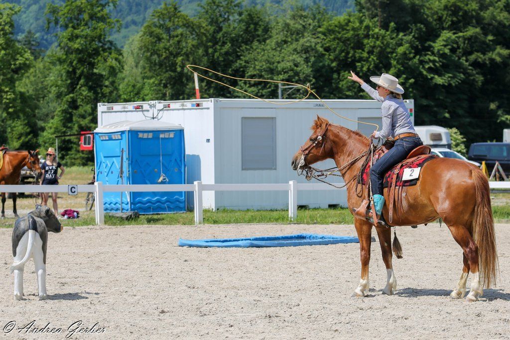 Swiss Ranch Horse Association - SRHA
