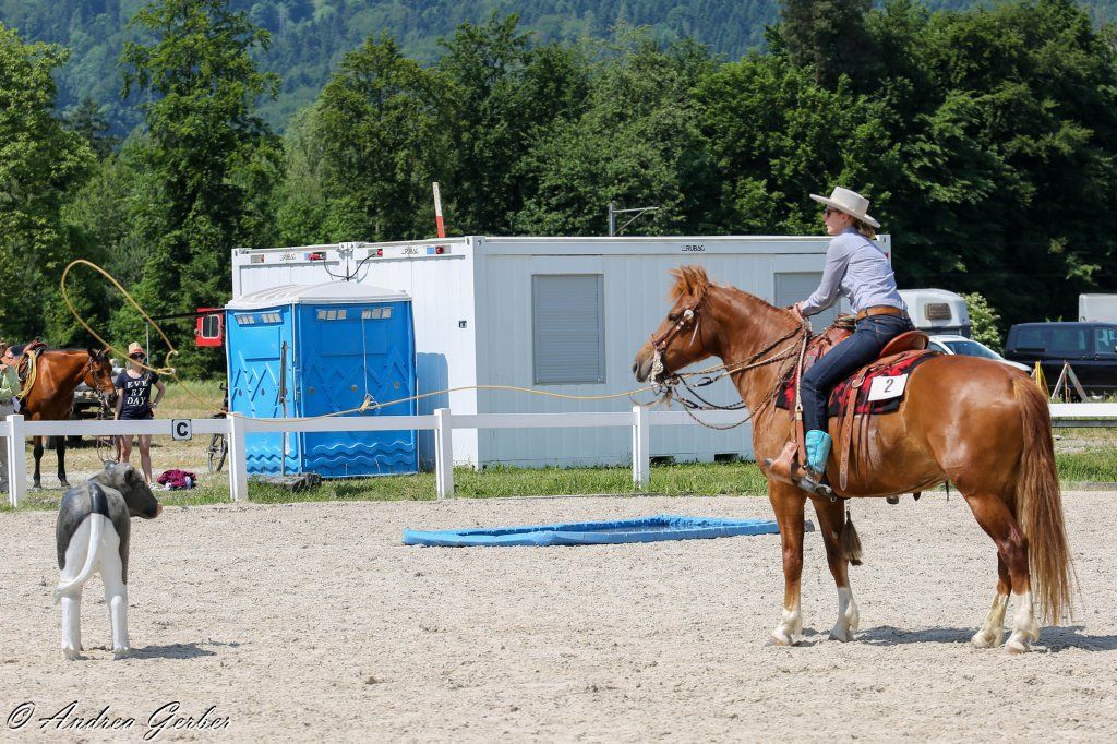 Swiss Ranch Horse Association - SRHA