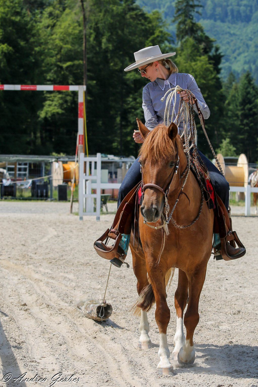 Swiss Ranch Horse Association - SRHA