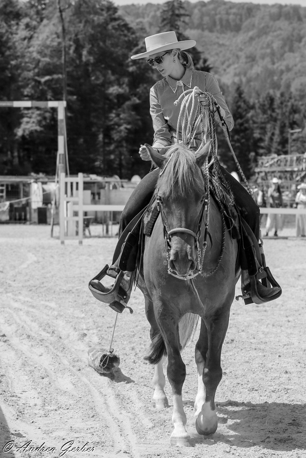 Swiss Ranch Horse Association - SRHA