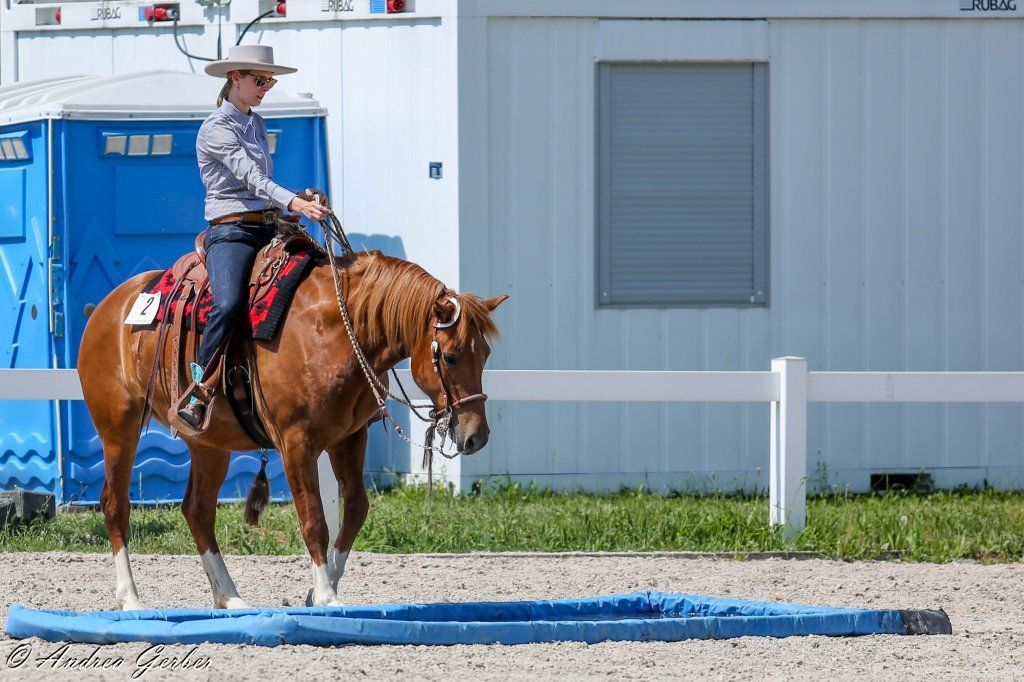 Swiss Ranch Horse Association - SRHA