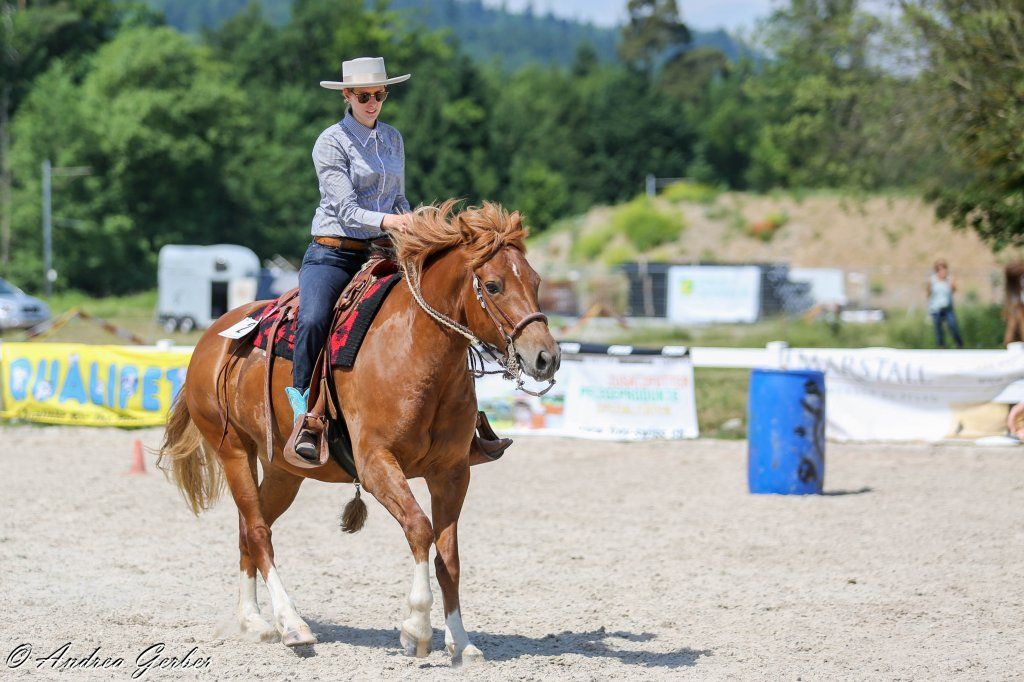 Swiss Ranch Horse Association - SRHA