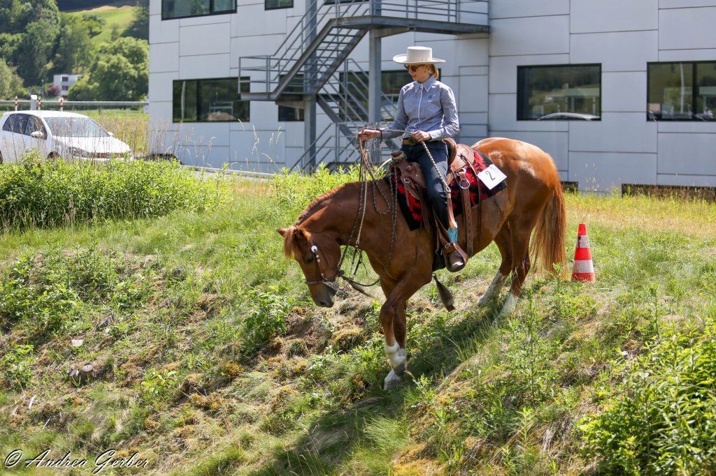 Swiss Ranch Horse Association - SRHA