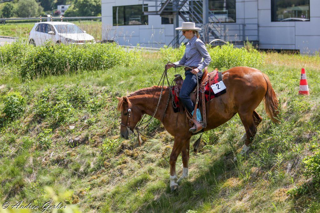 Swiss Ranch Horse Association - SRHA