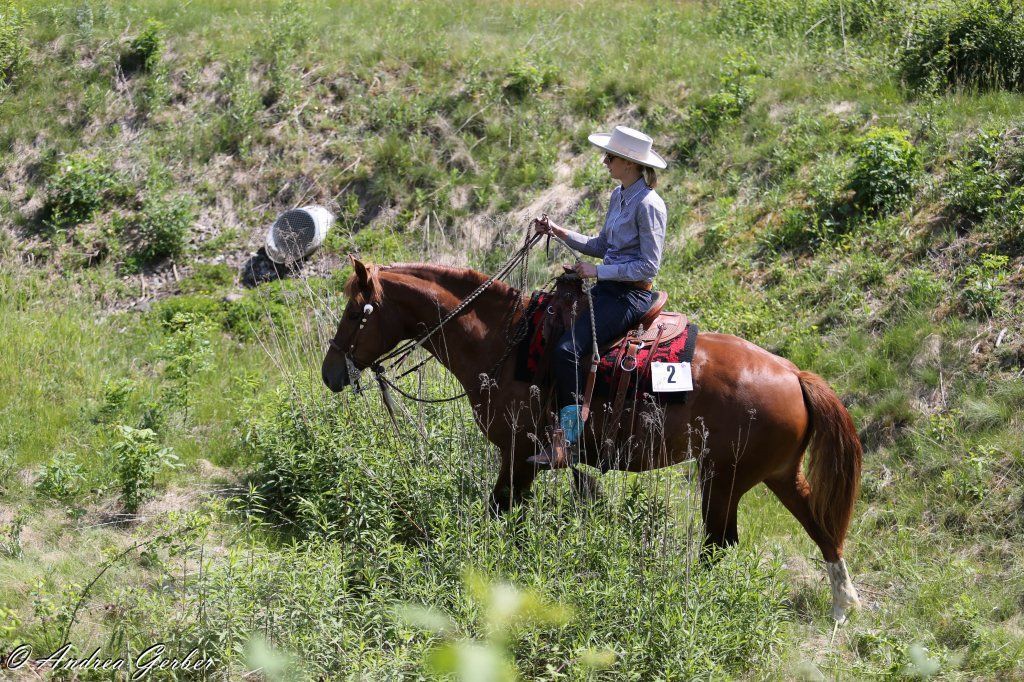 Swiss Ranch Horse Association - SRHA