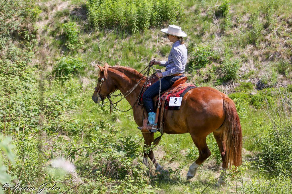 Swiss Ranch Horse Association - SRHA