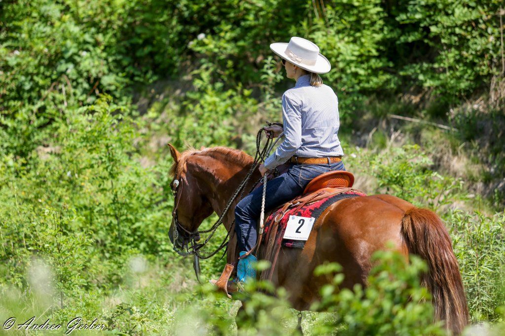 Swiss Ranch Horse Association - SRHA
