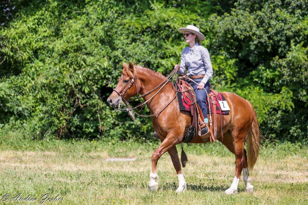 Swiss Ranch Horse Association - SRHA