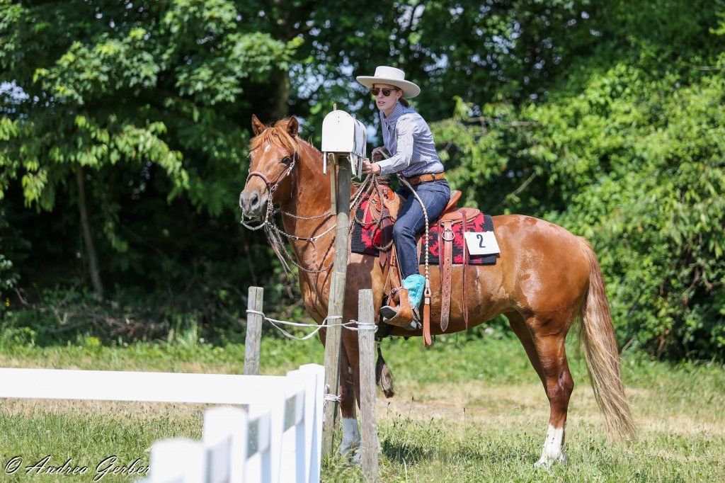 Swiss Ranch Horse Association - SRHA