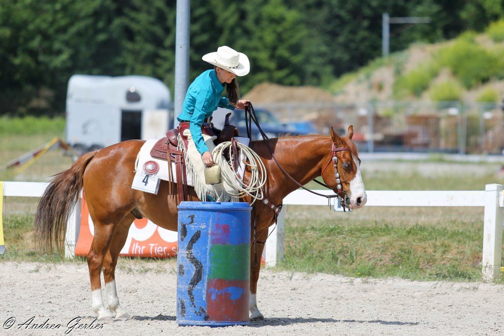 Swiss Ranch Horse Association - SRHA