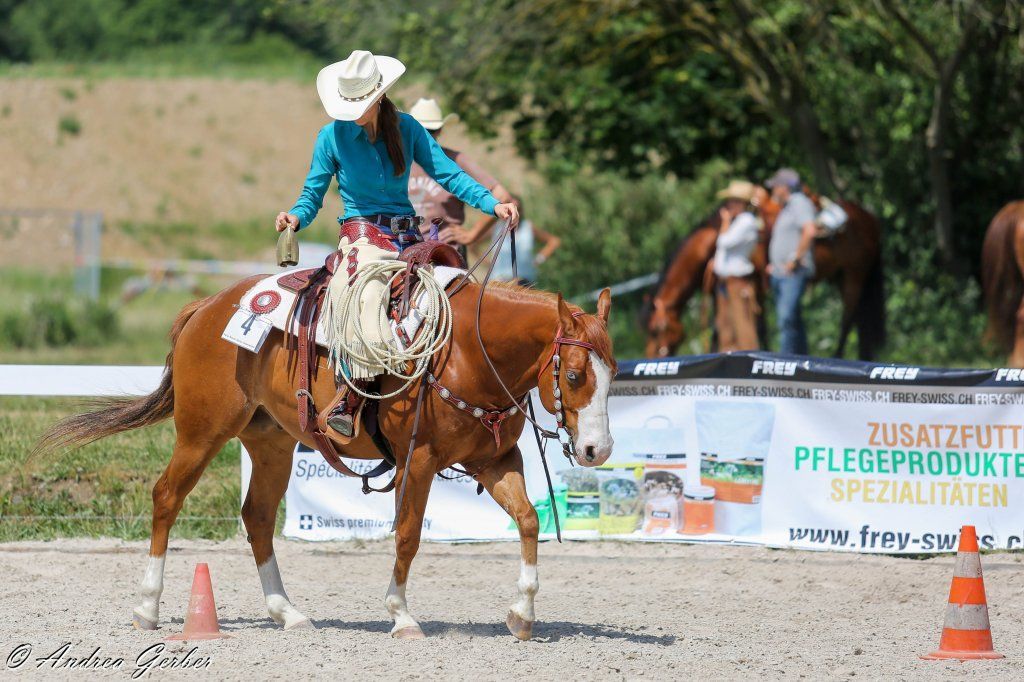 Swiss Ranch Horse Association - SRHA