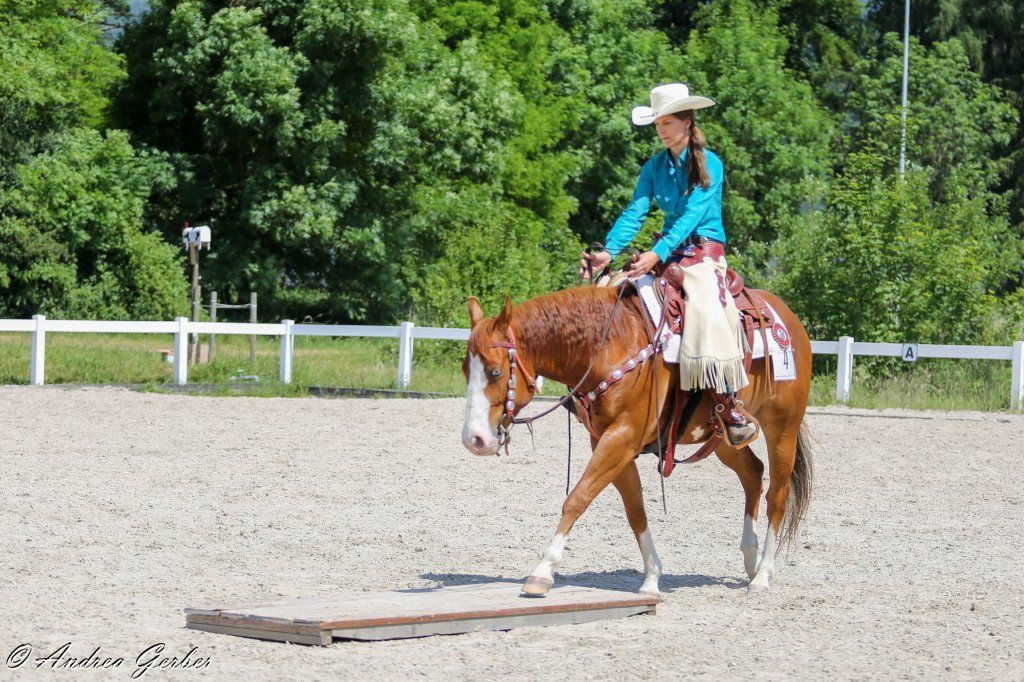 Swiss Ranch Horse Association - SRHA