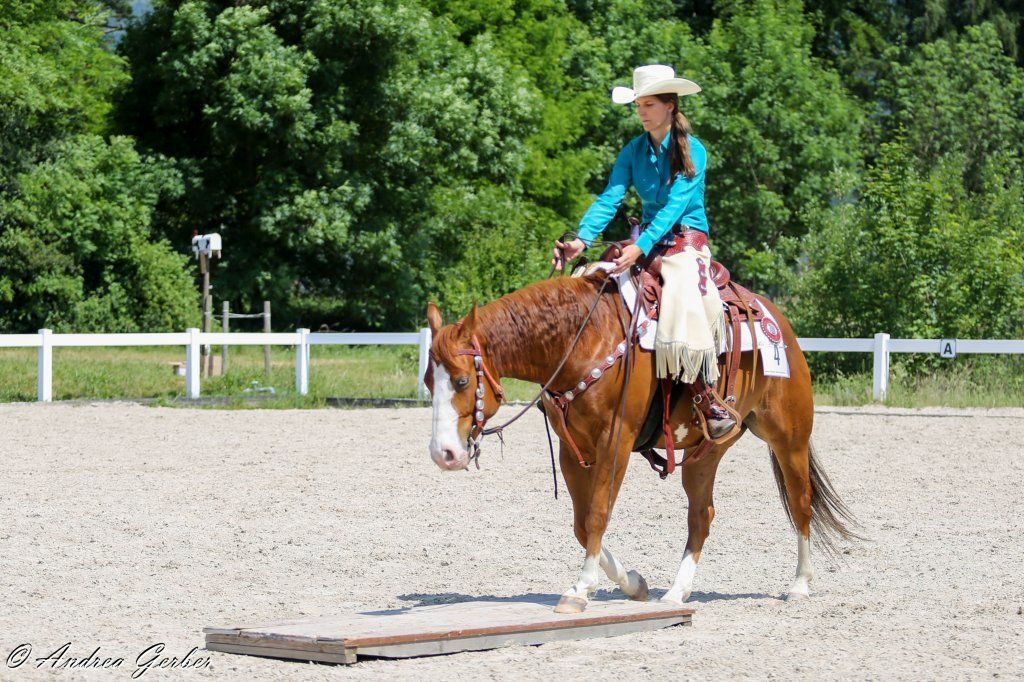 Swiss Ranch Horse Association - SRHA