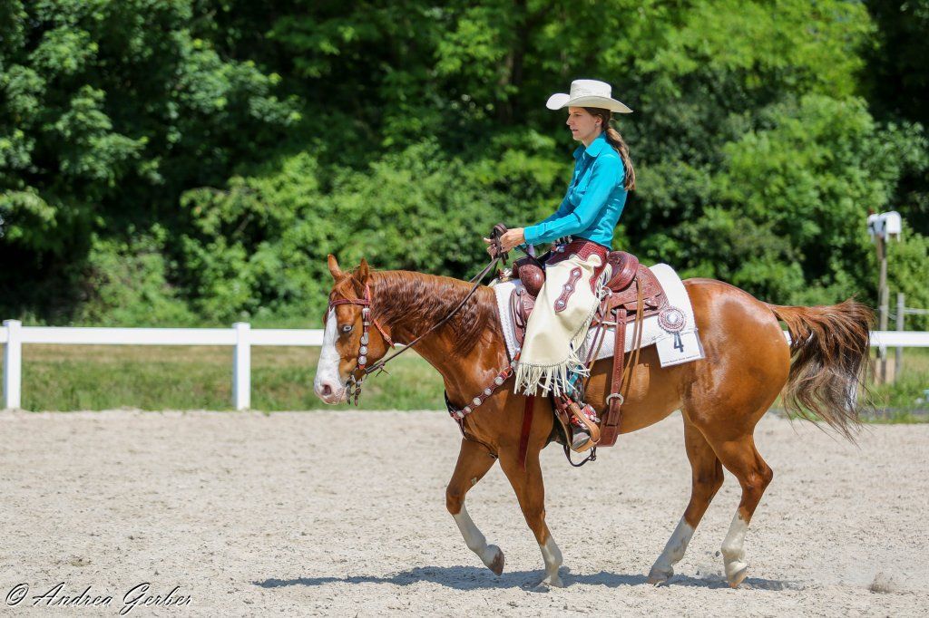 Swiss Ranch Horse Association - SRHA