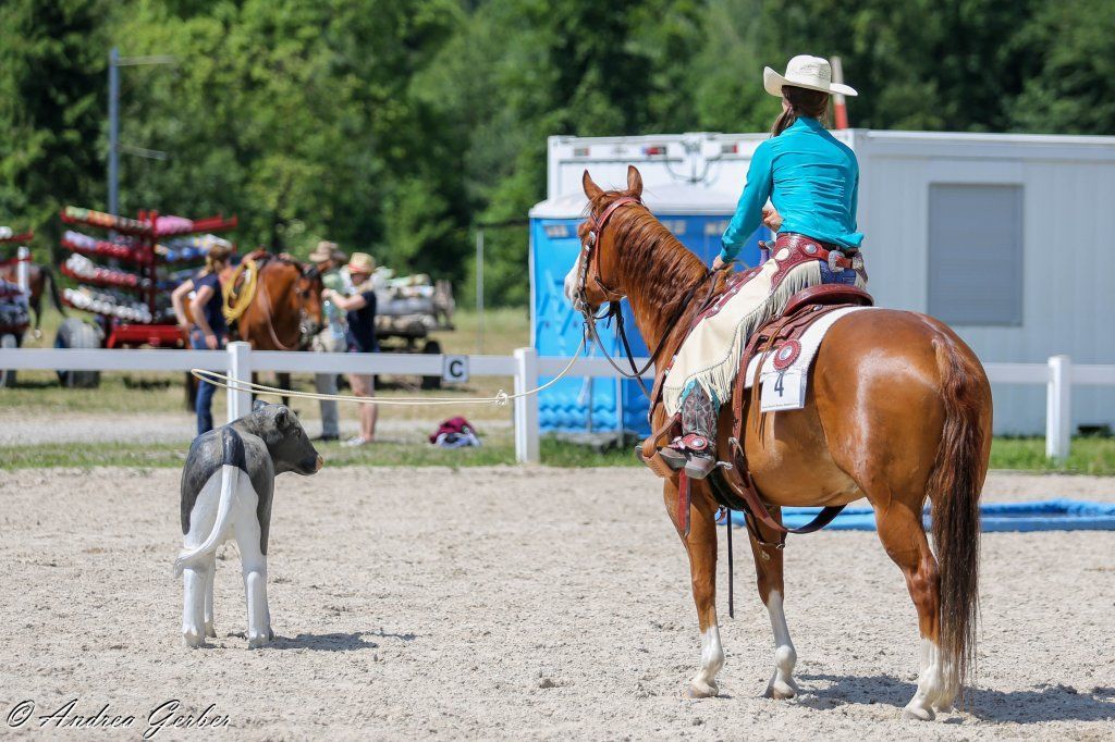 Swiss Ranch Horse Association - SRHA