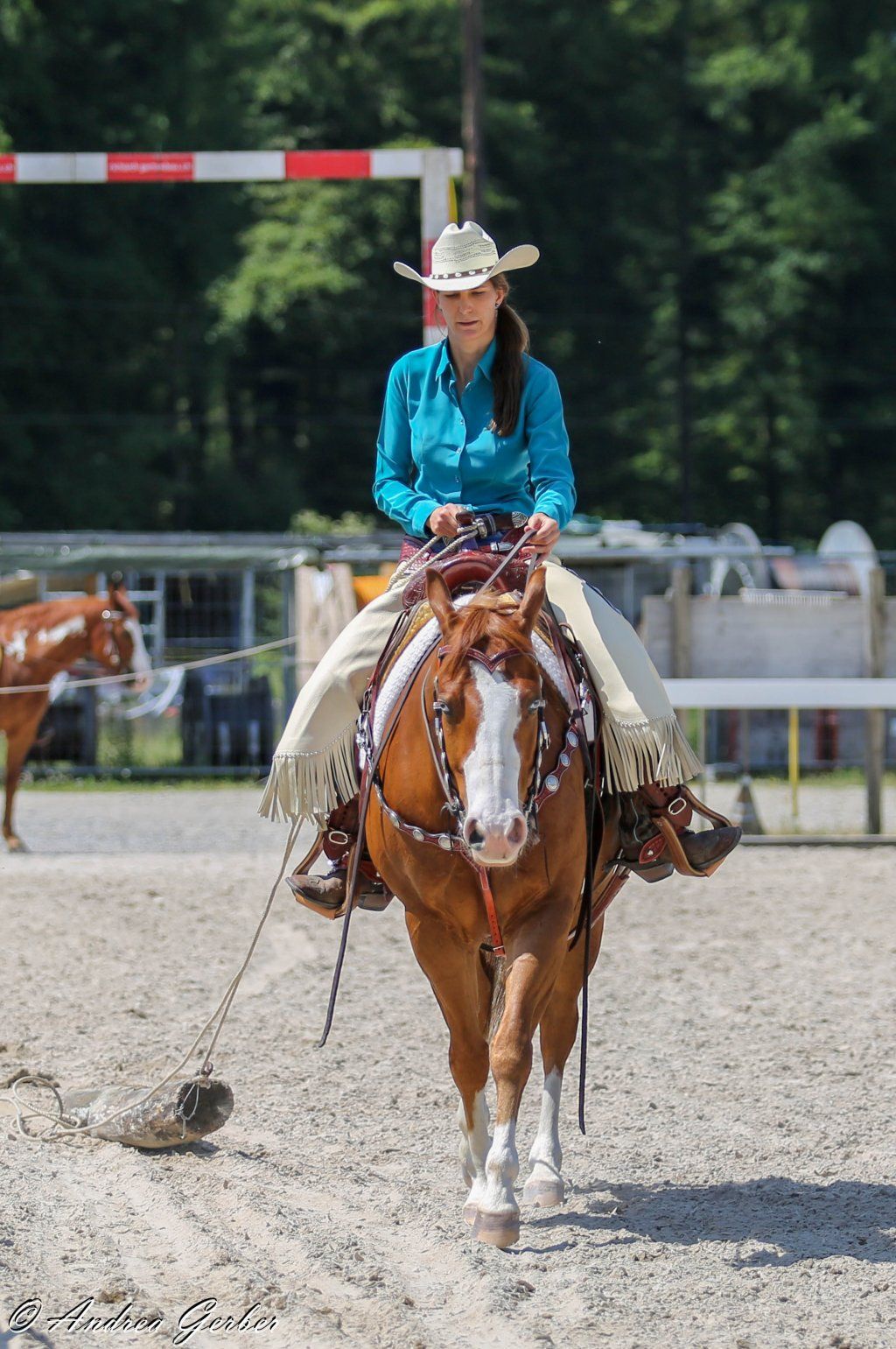 Swiss Ranch Horse Association - SRHA