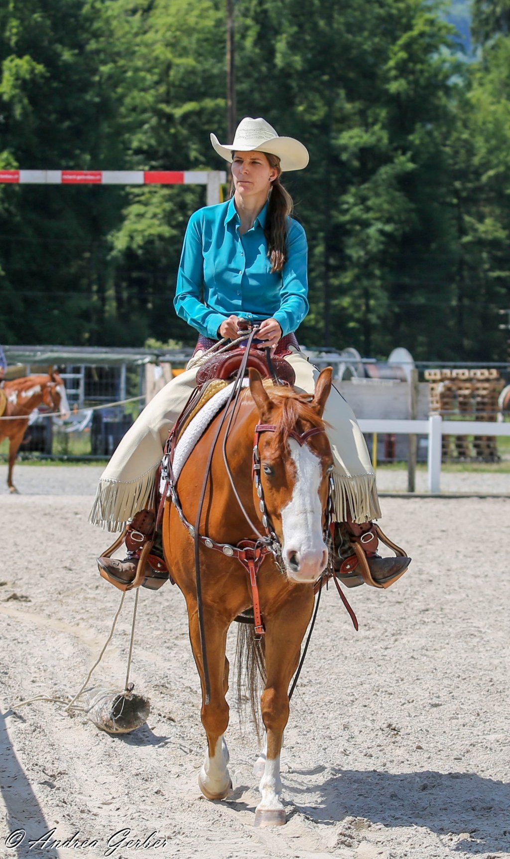 Swiss Ranch Horse Association - SRHA
