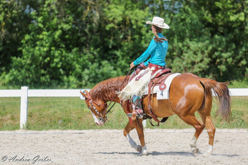 Swiss Ranch Horse Association - SRHA