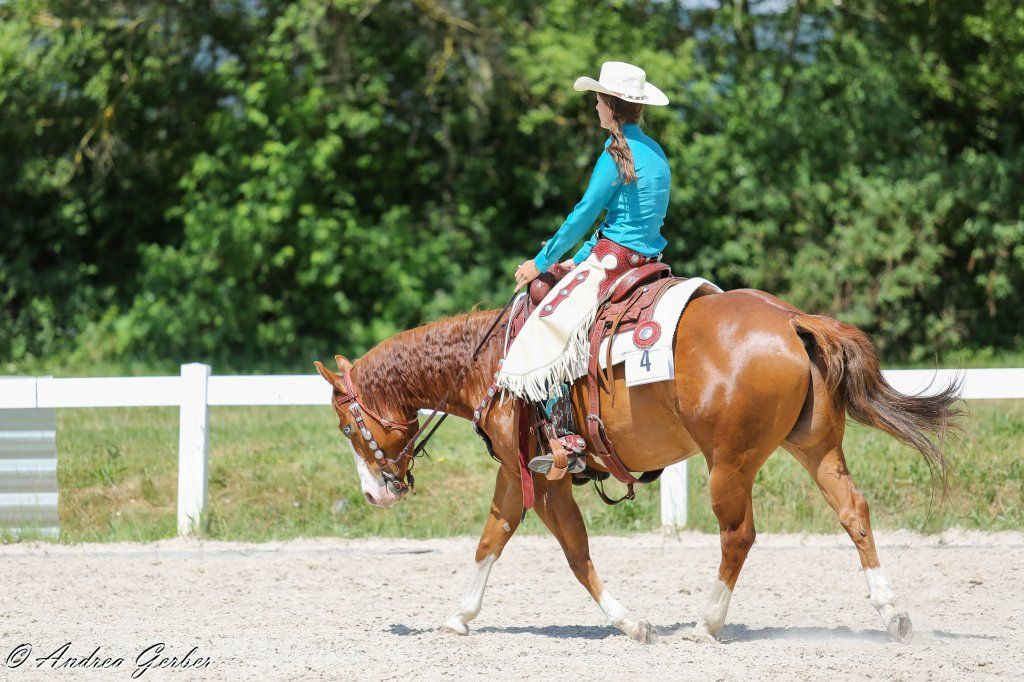 Swiss Ranch Horse Association - SRHA