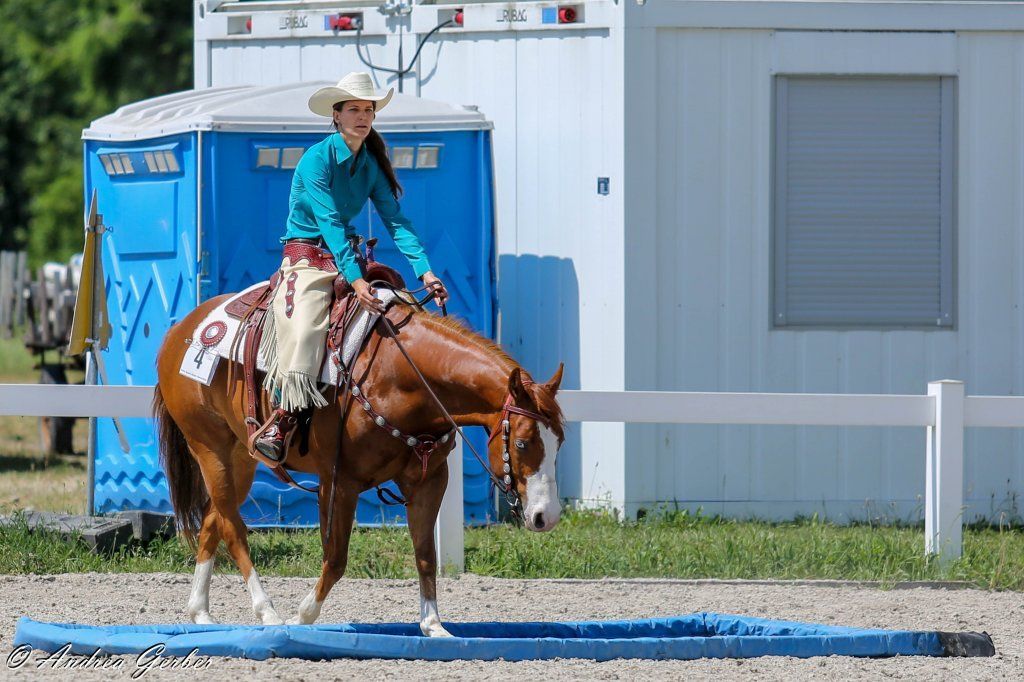Swiss Ranch Horse Association - SRHA