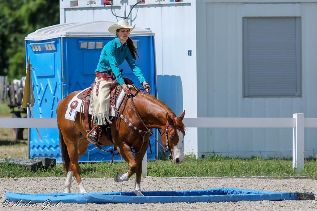 Swiss Ranch Horse Association - SRHA