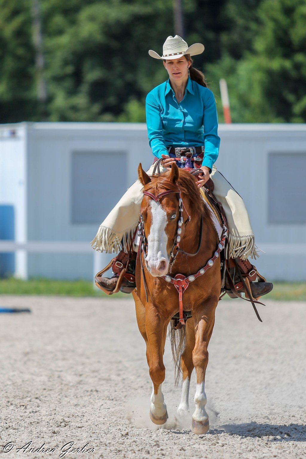 Swiss Ranch Horse Association - SRHA