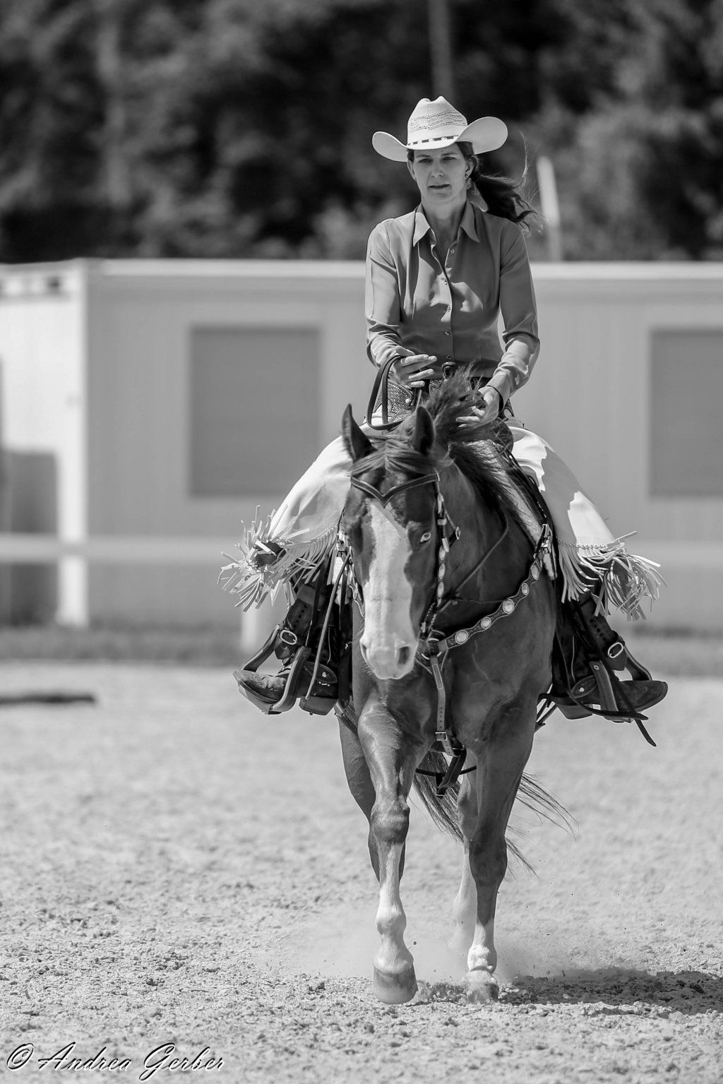 Swiss Ranch Horse Association - SRHA