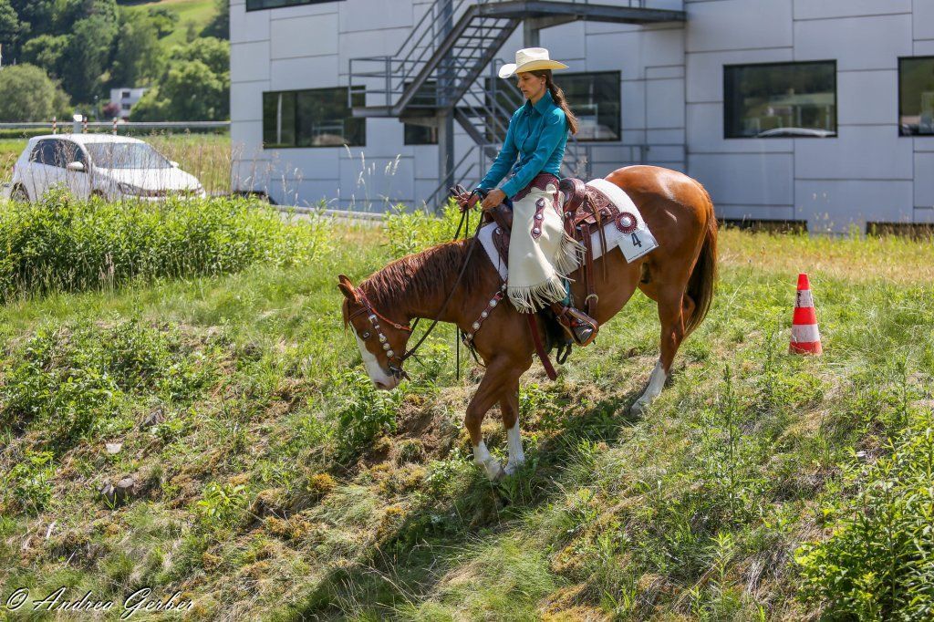 Swiss Ranch Horse Association - SRHA