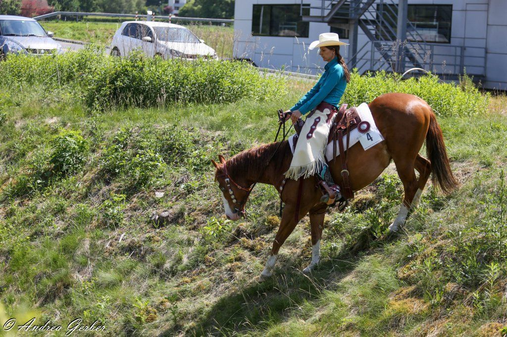 Swiss Ranch Horse Association - SRHA
