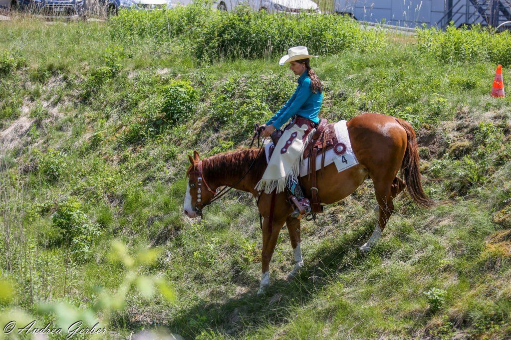 Swiss Ranch Horse Association - SRHA